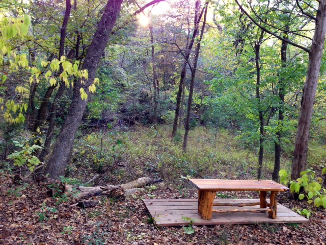 Bench.JPG