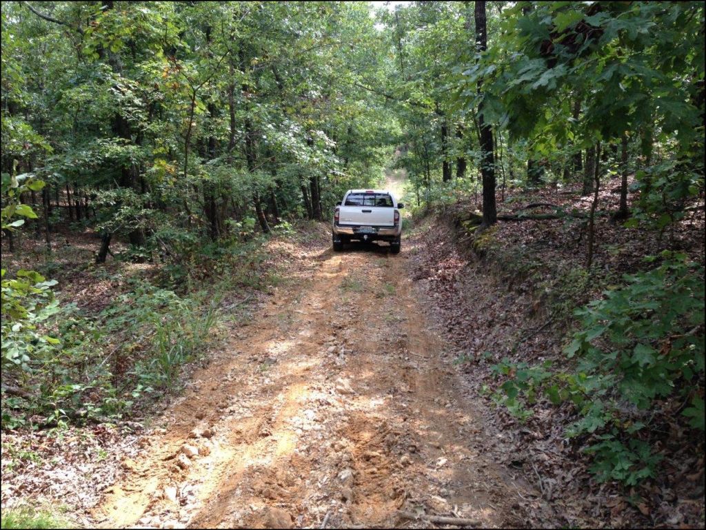 road-001.jpg