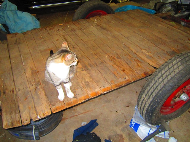 old tear frame with cat01.jpg