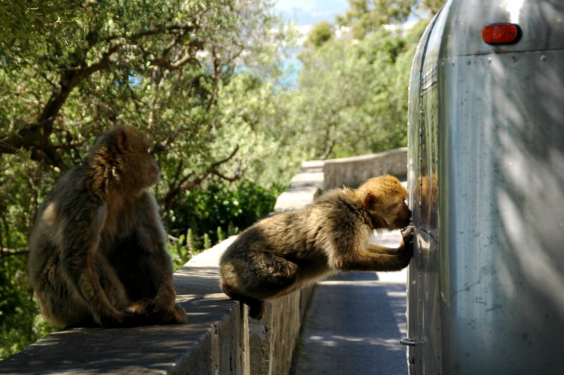 Gibraltar_DSC_4455.jpg