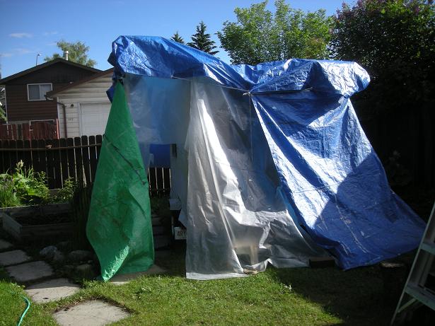 bigger rain shelter.JPG