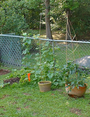 DSCF0035.JPG
