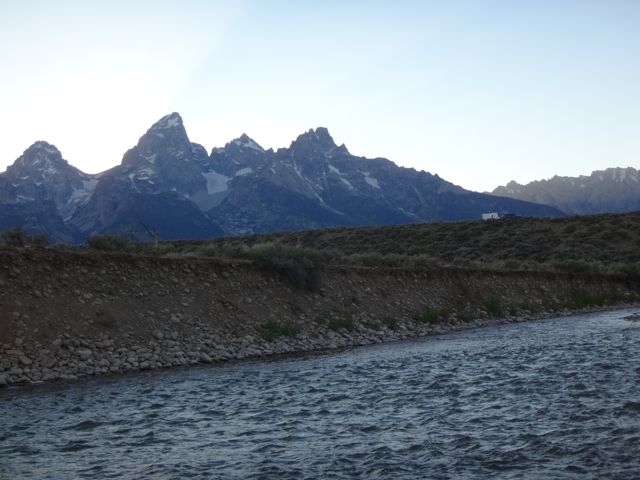 DSC01595.jpg