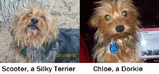 my pals (2 out of 8 at home).jpg