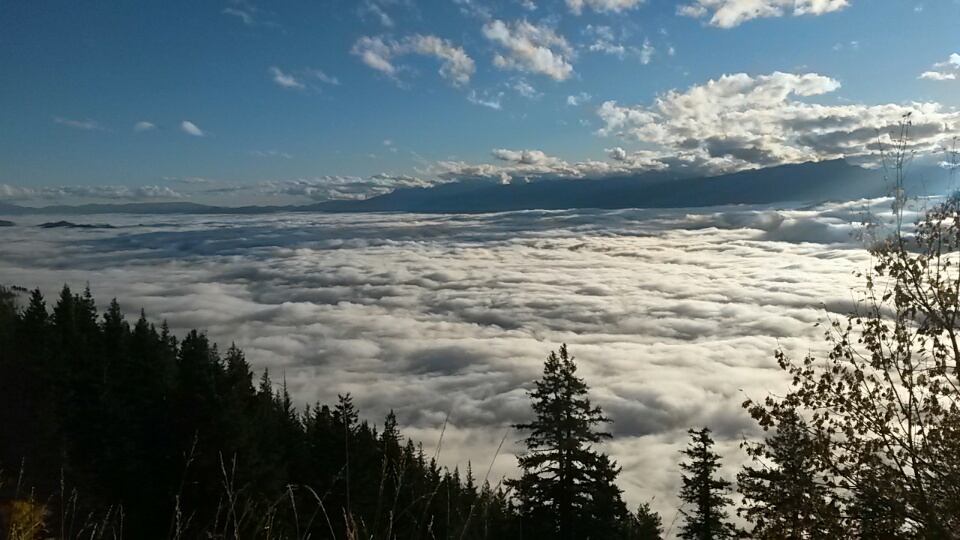 20141018_170833_resized.jpg