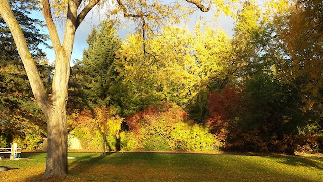 20141021_080458_Android.jpg
