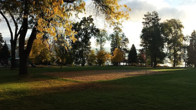 20141021_080505_Android.jpg
