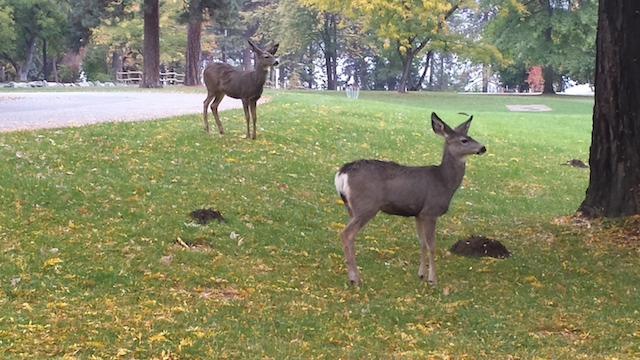 20141018_103838_Android.jpg