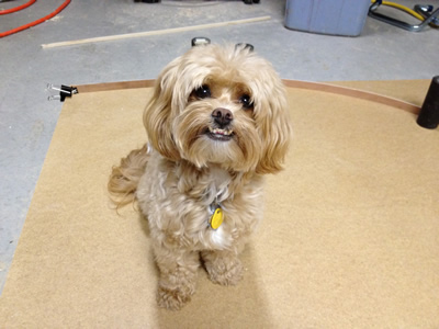 2012-07-24 23.16.08-small.jpg