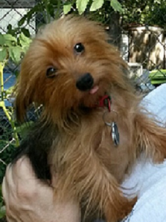 my owner.jpg