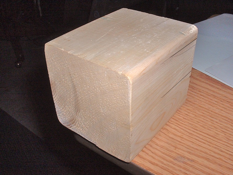 Alaskan cedar.JPG