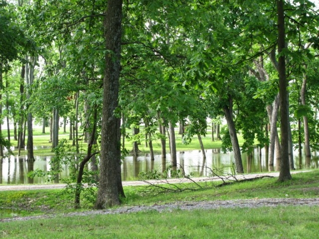 flooded park