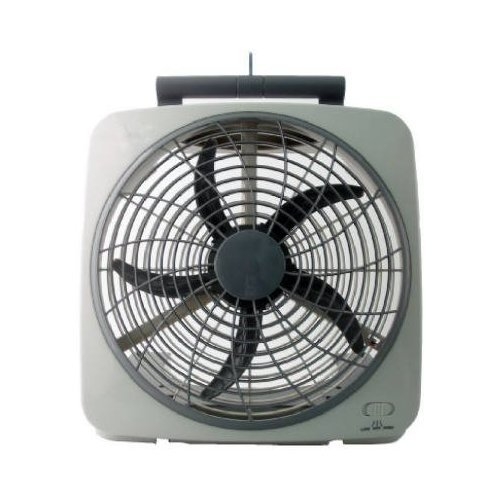 Fan