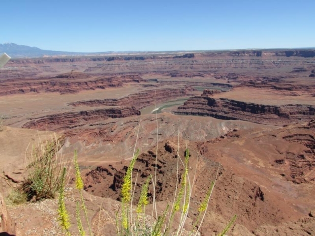 Canyonland