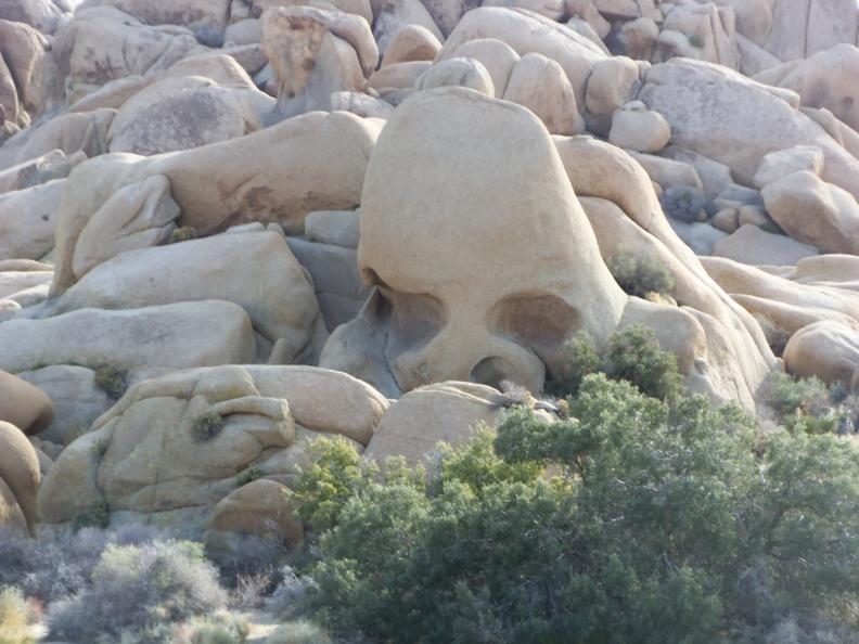 Joshua Tree 4