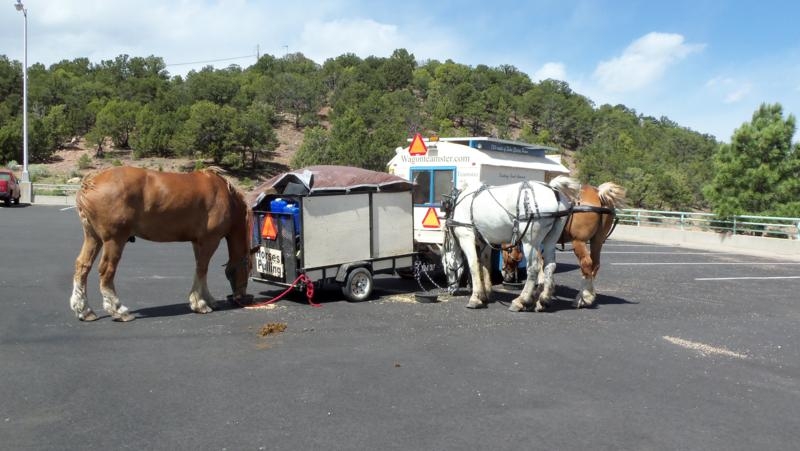 Flaming Gorge 9