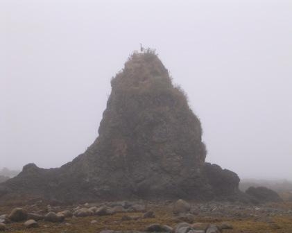 beach fog Cape Alava