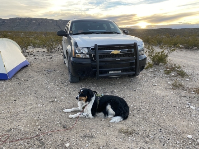 Overland Hound