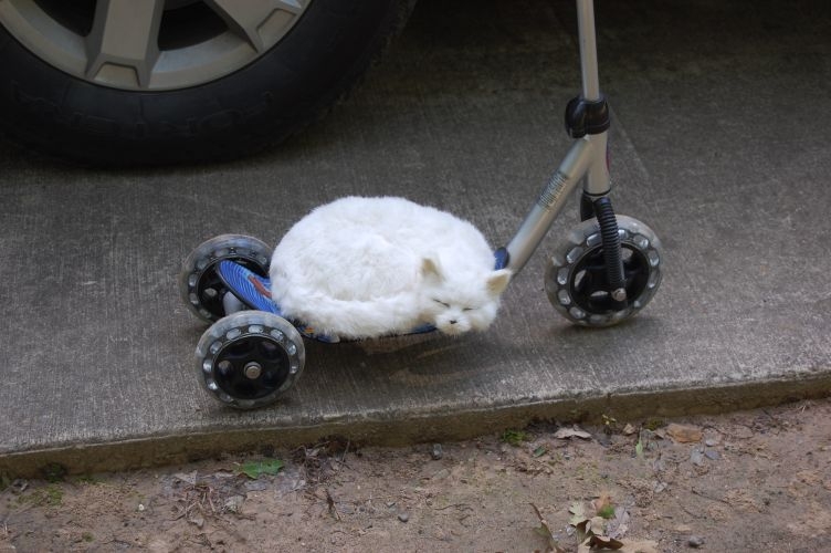 Going for a spin