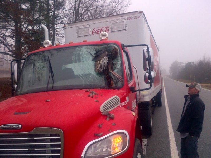 Wild Turkey and Coke, don't mix!