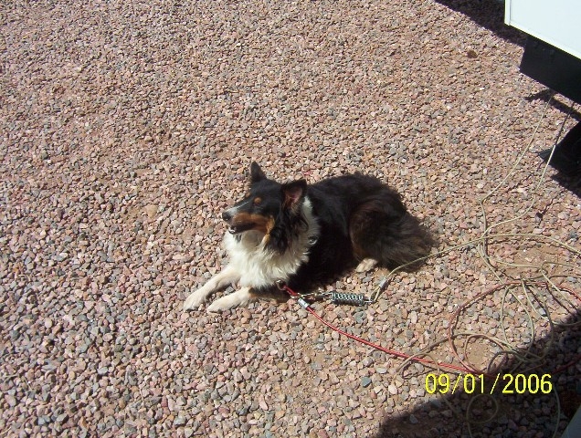 Princess Sassy the Queen of the camper