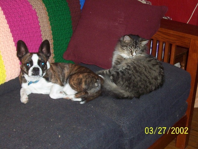 Playmates