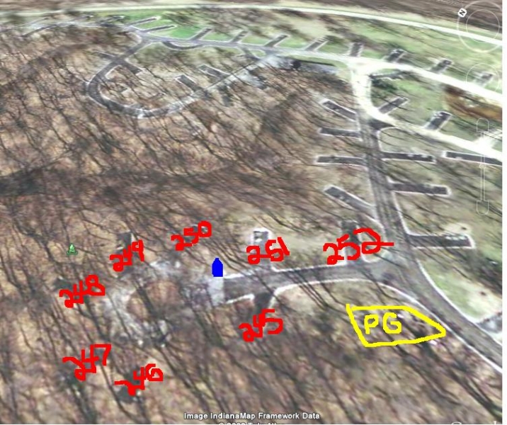 raccoon sites?