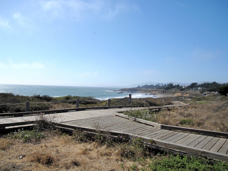 Board Walk