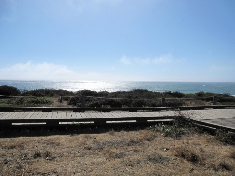 Boardwalk