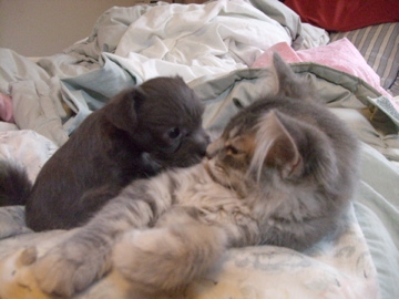 Pearl and Mimi
