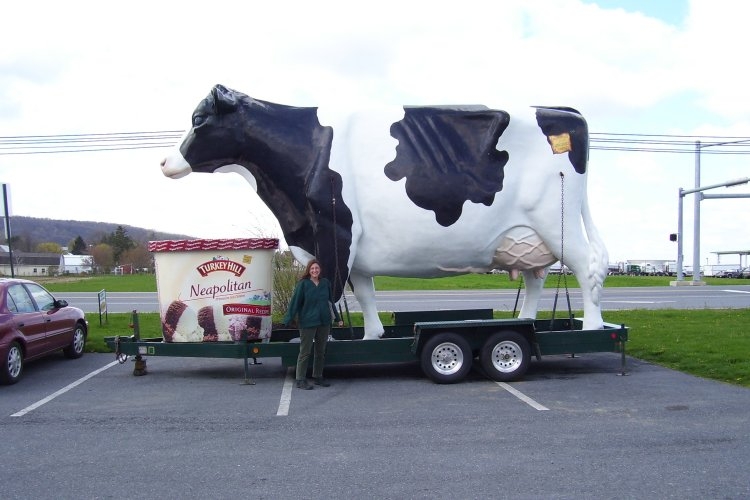 Big Cow in Lancaster Co., PA