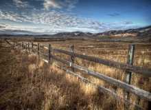 Carrizo Plain