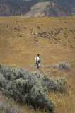 Carrizo Plain Hike 2