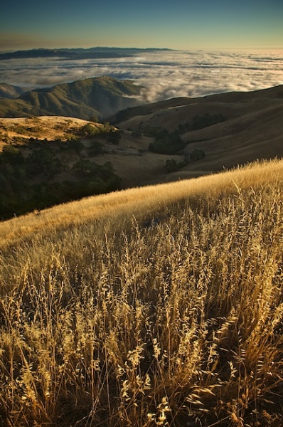 Fremont Peak