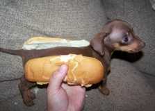 Hot Dog