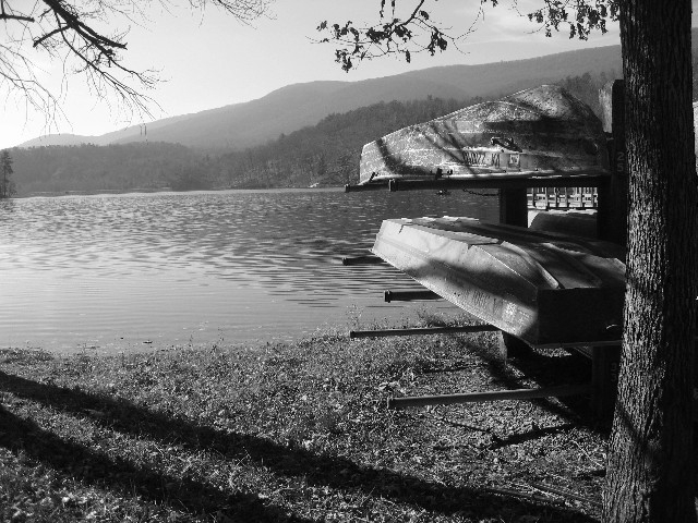 Douthat - boats