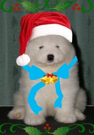heikki's dog