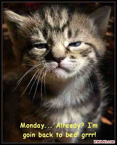 monday