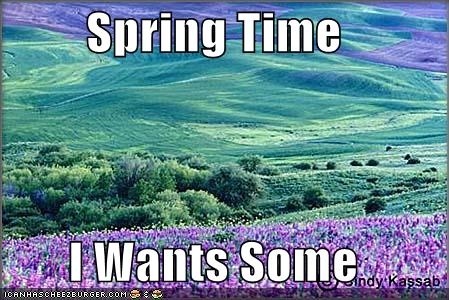 spring