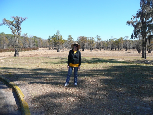 Lake Bisteaneau State Park