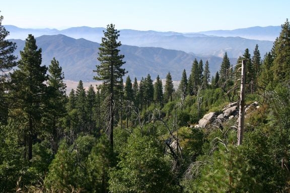 Up in the mountains east of Bakersfield