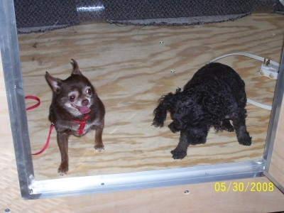 Teardrop building inspectors