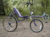 Plum Crazy - SWB Recumbent