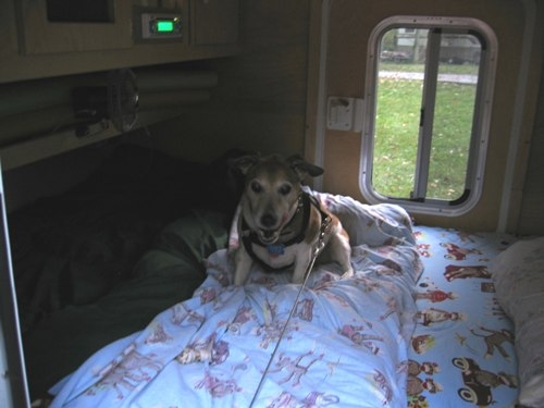 Walter
