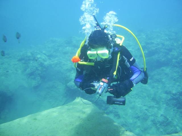vortex diing