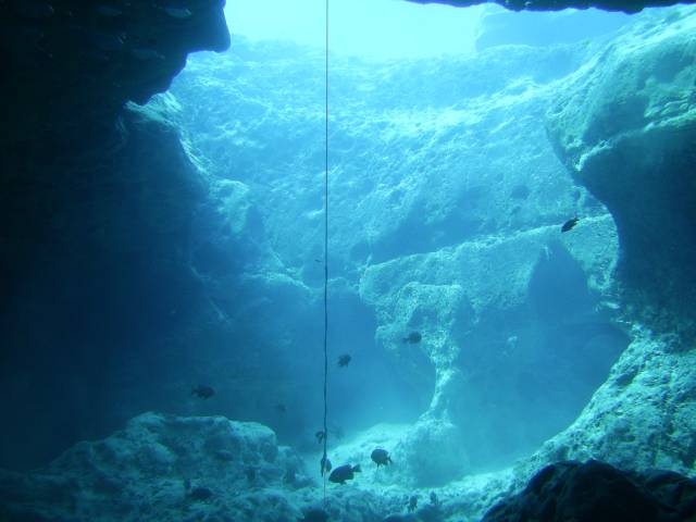 vortex diving