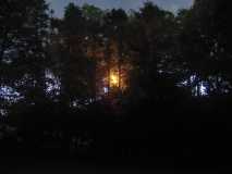 Power Line Fire