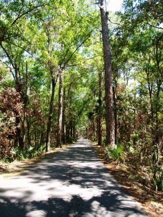 Hunting Island 9