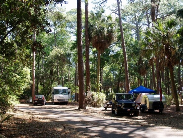 Hunting Island 8