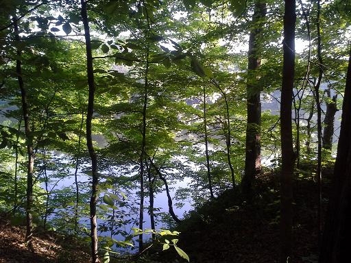 vista